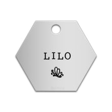 Load image into Gallery viewer, Hexagon Tag