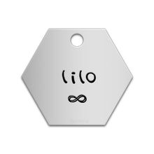 Load image into Gallery viewer, Hexagon Tag
