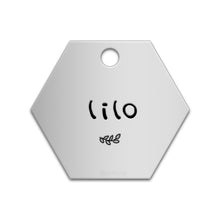 Load image into Gallery viewer, Hexagon Tag